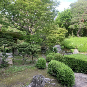 庭|697365さんの桜鶴苑の写真(2125843)