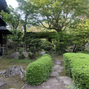庭|697365さんの桜鶴苑の写真(2125840)
