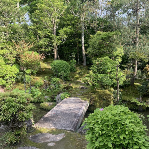 庭|697365さんの桜鶴苑の写真(2125844)