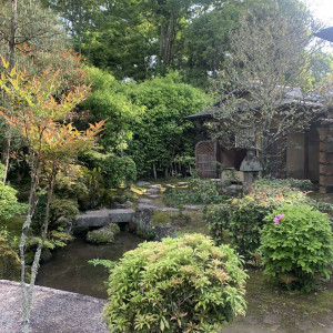 庭|697365さんの桜鶴苑の写真(2125842)
