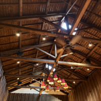 天井からは自然光が入ります