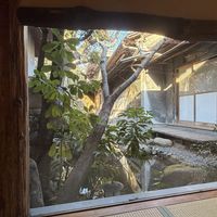 廊下の低い窓からも池が見えます