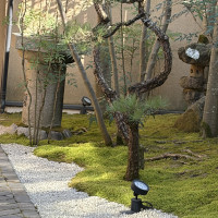 お庭　スタッフの方が毎日整えているそうです