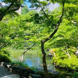 新郎新婦を待つ間の庭の景色
