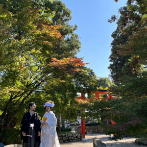 撮影中|697693さんの上賀茂神社の写真(2291212)