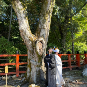 撮影中|697693さんの上賀茂神社の写真(2291214)