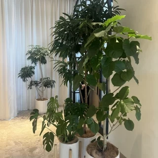 待合場所