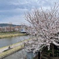 春は桜が綺麗です。