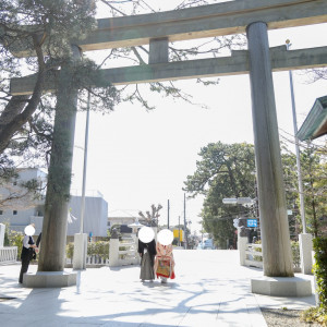 鳥居|698282さんの寒川神社の写真(2103270)