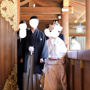 社殿|698282さんの寒川神社の写真(2103269)