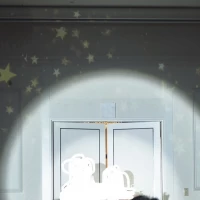 プロジェクションマッピングができます
