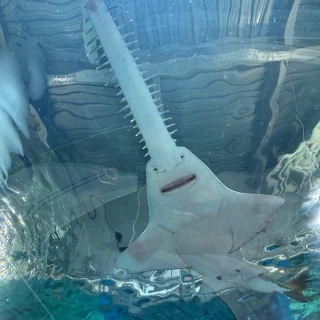 水族館
