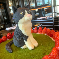 ウェディングケーキのマジパン、ペットの猫