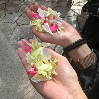 フラワーシャワー