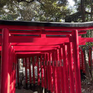 フォトスポットです。前撮りの時に良いと思います。|698530さんの乃木神社・乃木會館の写真(2105807)