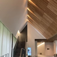建築を楽しめます