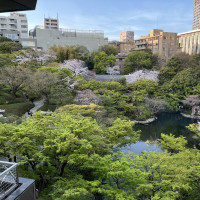 1万坪の庭園