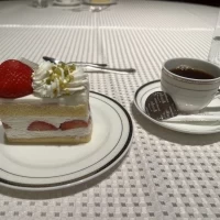 フレッシュケーキ