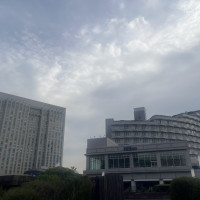 ホテル外観（左）