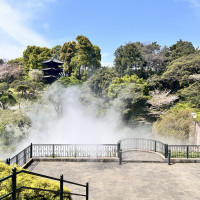 雲海