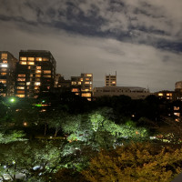 披露宴会場から見える夜景