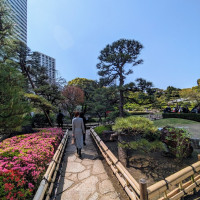 天気が良いととても綺麗です