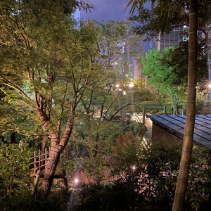 夜の庭|699567さんの東郷神社／原宿 東郷記念館の写真(2113939)