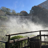 写真撮影スポットの雲海