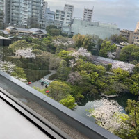 披露宴会場からの景色