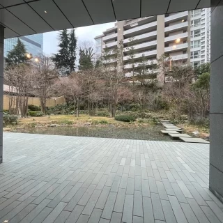 池のある日本庭園です。非常に落ち着きがあります。