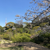 都会とは思えない空の広がり