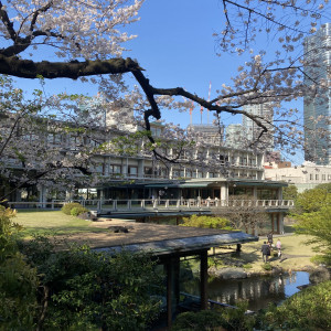 桜が美しい|700175さんの国際文化会館（International House of Japan）の写真(2141037)