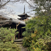 庭からみえる五重の塔