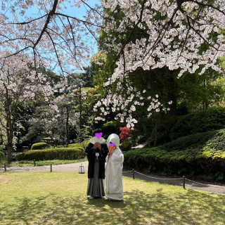 挙式前に日本庭園で写真を撮りました！お庭も桜も綺麗でした！