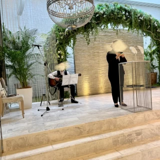 生演奏。