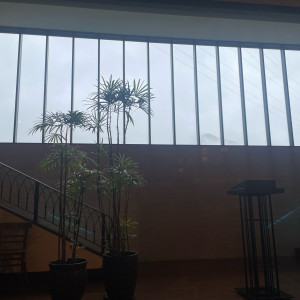 曇りの日でした|700753さんの太宰府迎賓館の写真(2122685)