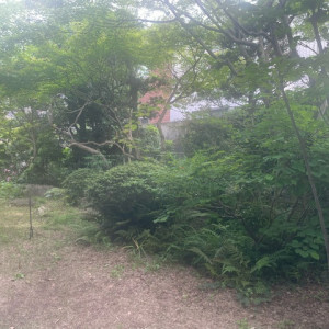親族控室のお庭です。|700753さんのFlairge 桜坂（フレアージュ桜坂）の写真(2123304)