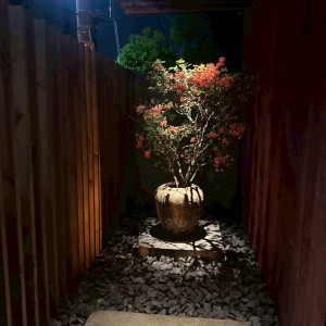 敷地内入ってすぐに飾られている花|700890さんのIWAI OMOTESANDO(イワイ オモテサンドウ)の写真(2425478)