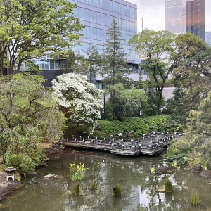 この池の橋の上から参進の儀をします。|700935さんの東郷神社／原宿 東郷記念館の写真(2127317)