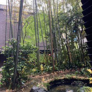 高く伸びる竹林が奥ゆかしい|701071さんのフォーチュンガーデン京都（FORTUNE GARDEN KYOTO）の写真(2124854)