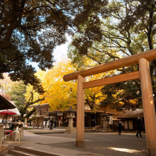 乃木神社鳥居