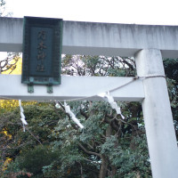 乃木神社鳥居