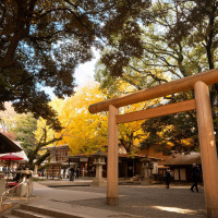 乃木神社鳥居