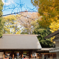 乃木神社境内