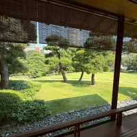 披露宴会場からの庭園の眺め