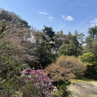 中国庭園