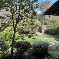 中国庭園