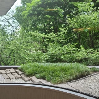 披露宴会場から見える景色
