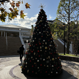 挙式会場外のクリスマスツリー