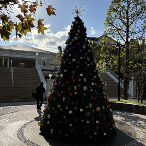 挙式会場外のクリスマスツリー|702173さんのララシャンス 博多の森の写真(2305192)